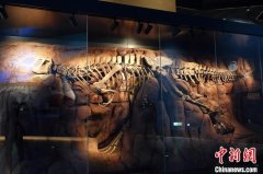 kaiyun中国官方网站 亚洲限制最大当然科学类专题博物馆在河北保定建成洞开